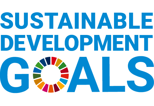 sustainable development